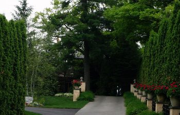 path in the garden surrounded by trees and flowerpots